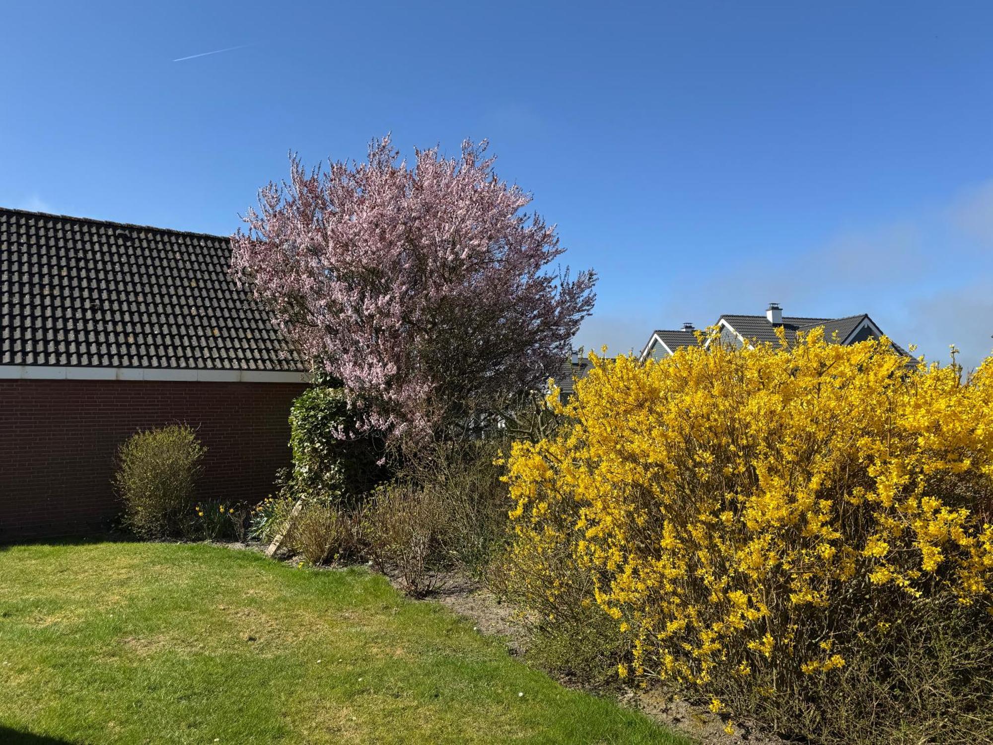 Haus Nordstrand Büsum Kültér fotó